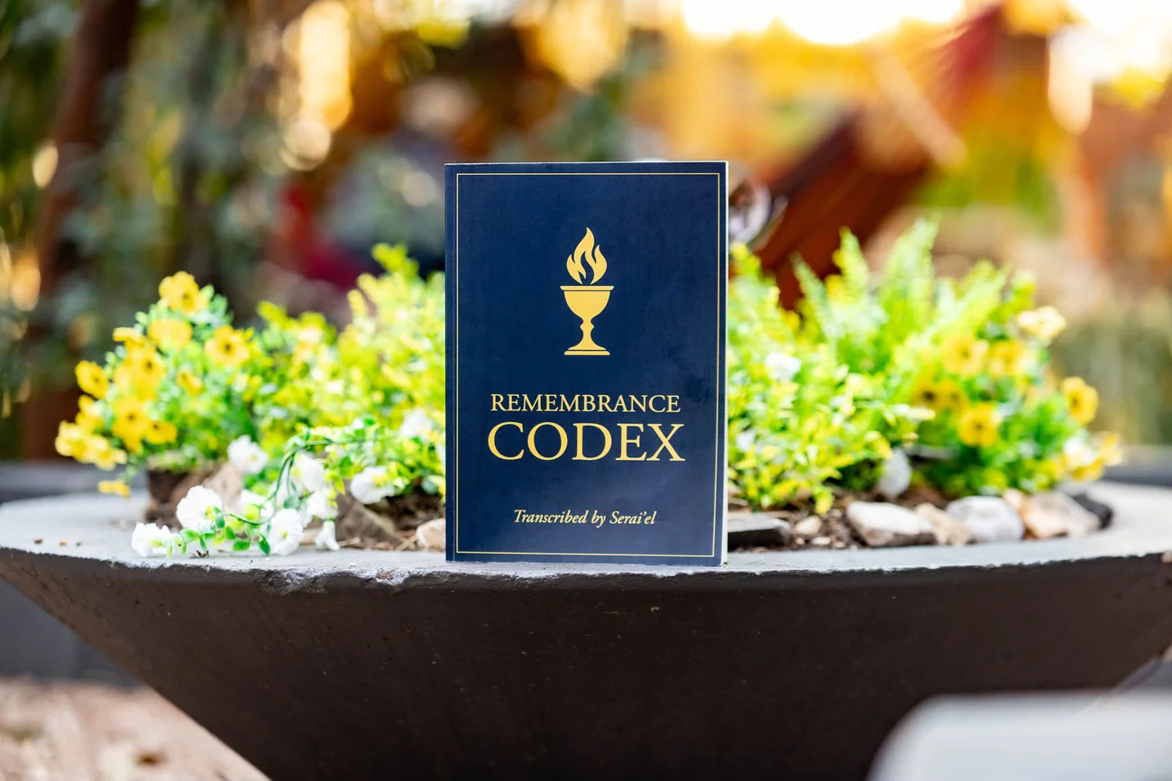 The Remembrance Codex book standing in a garden at golden hour.